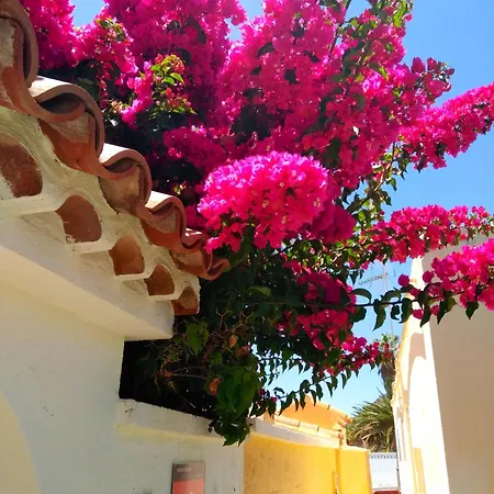 Casa vacanze Casa Limona - In Teneriffas Sonnigem Süden Arona (Tenerife)