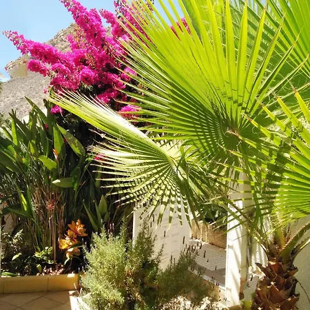 Casa Limona - In Teneriffas Sonnigem Süden Casa vacanze *
