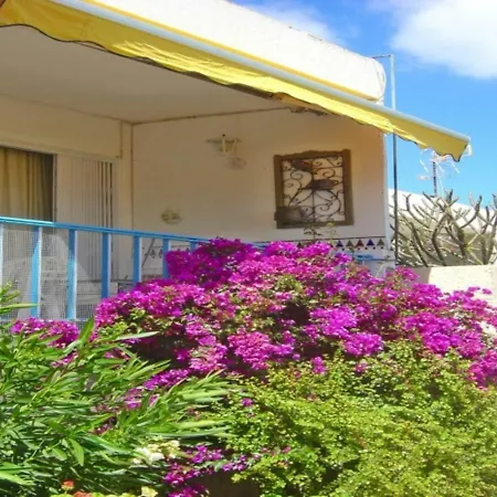 Casa Limona - In Teneriffas Sonnigem Süden * Arona (Tenerife)