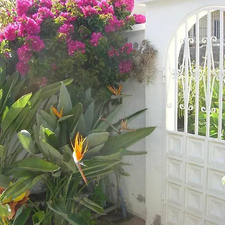 Casa Limona - In Teneriffas Sonnigem Sueden 度假居